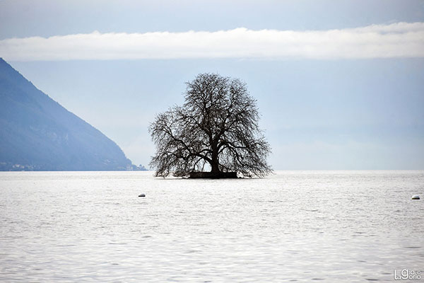 SUL LAGO