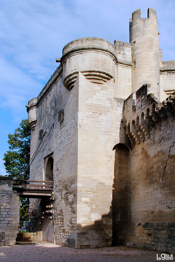 Pont Saint Bénezet · Arles