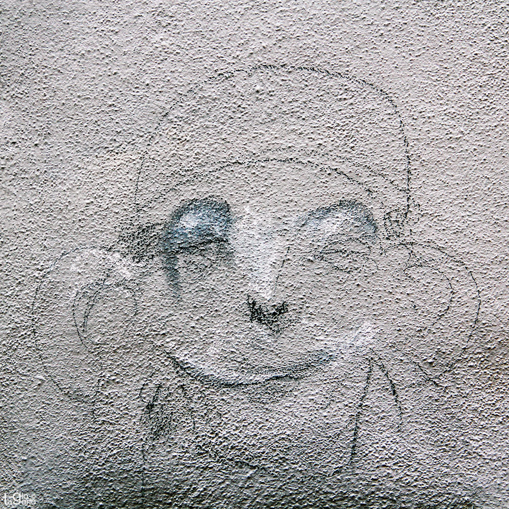 43 · Arte di Strada · Genova