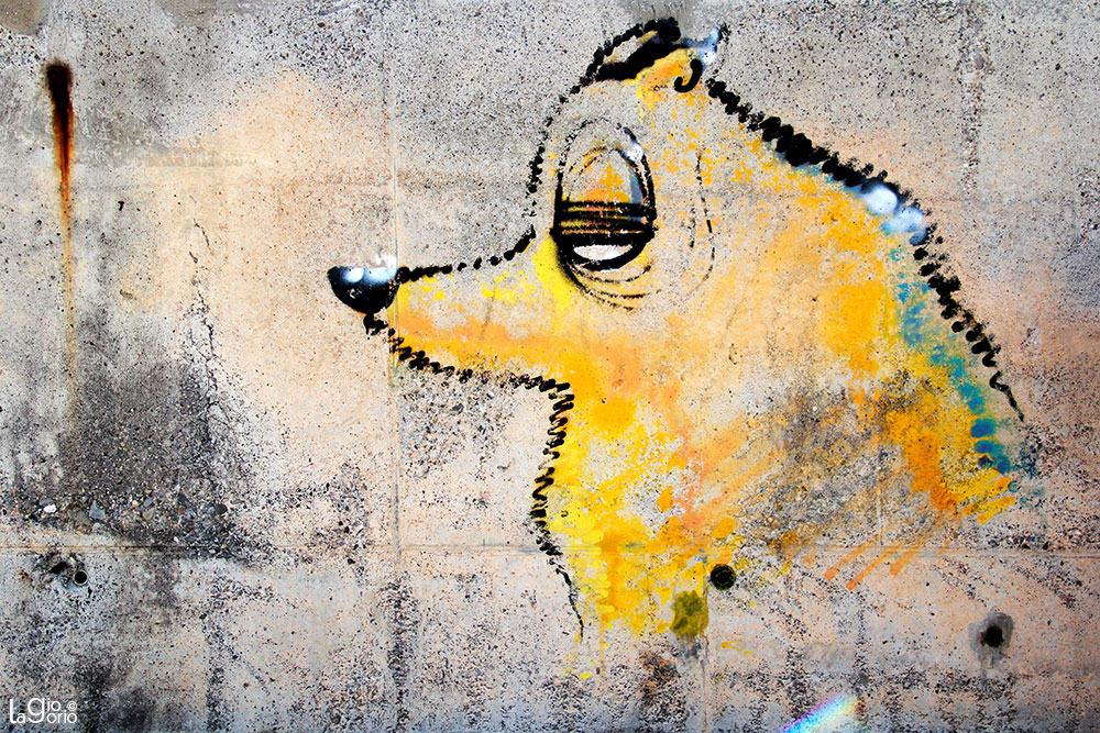 50 · Arte di Strada · Imperia Oneglia