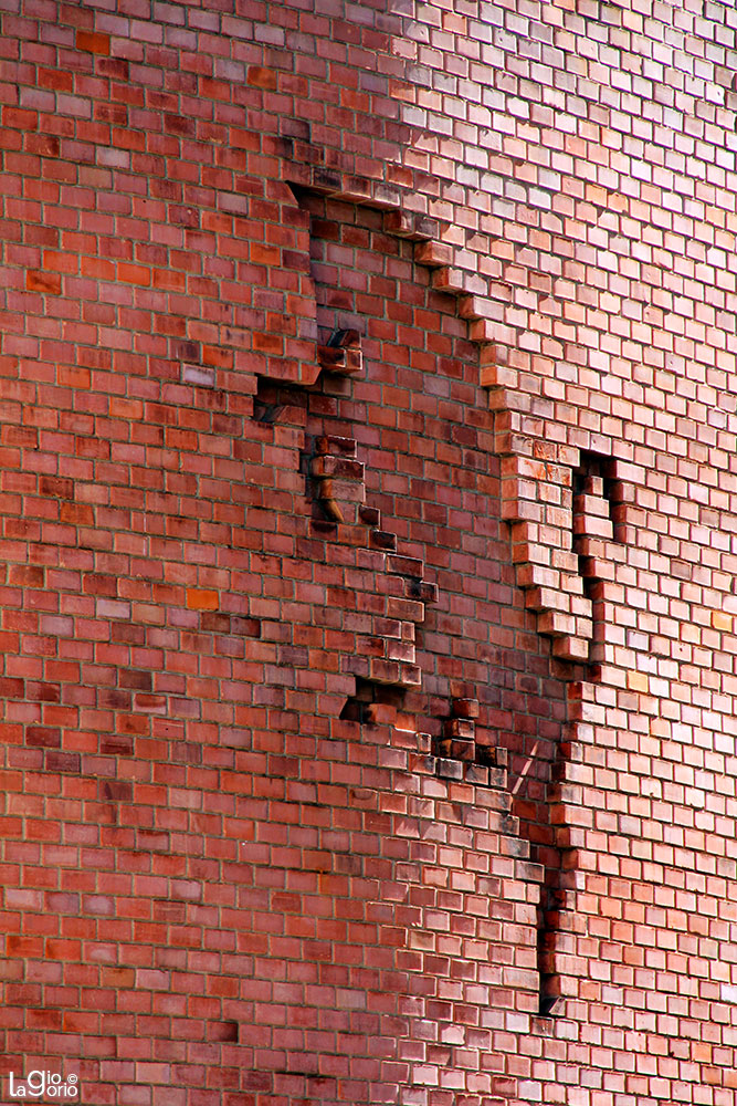 Toro sul muro del Teatro Regio · Stemma della città · Torino