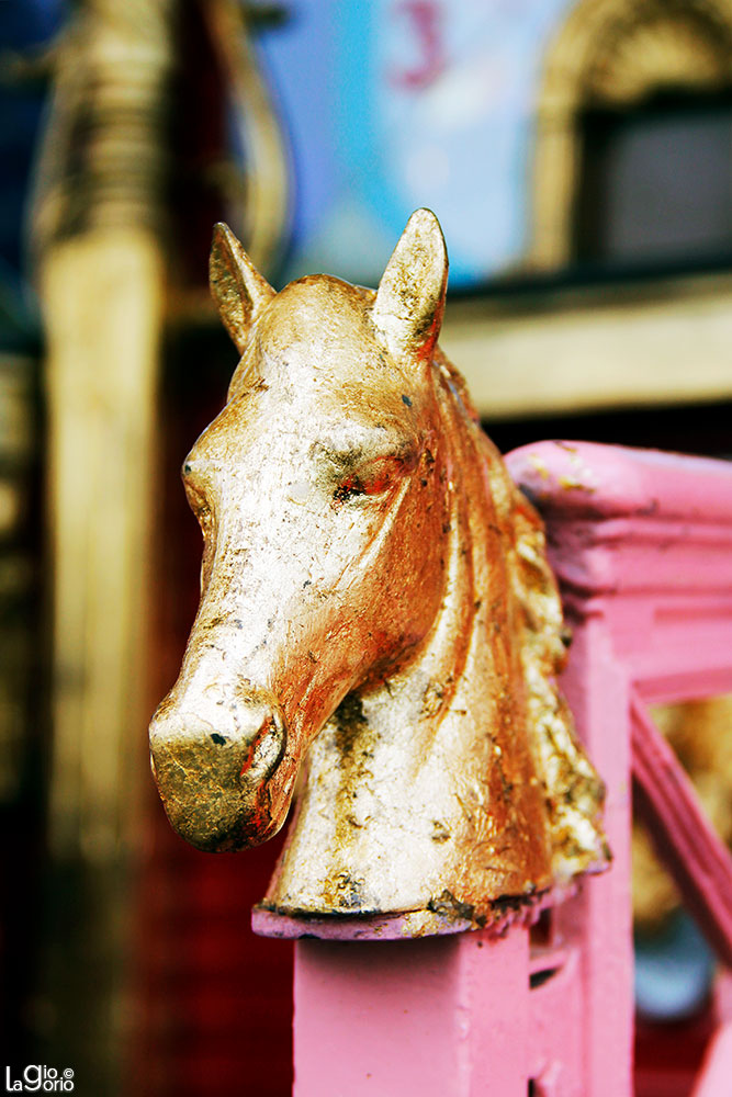 Fregio a testa cavallo · Circo Darix Togni · Genova