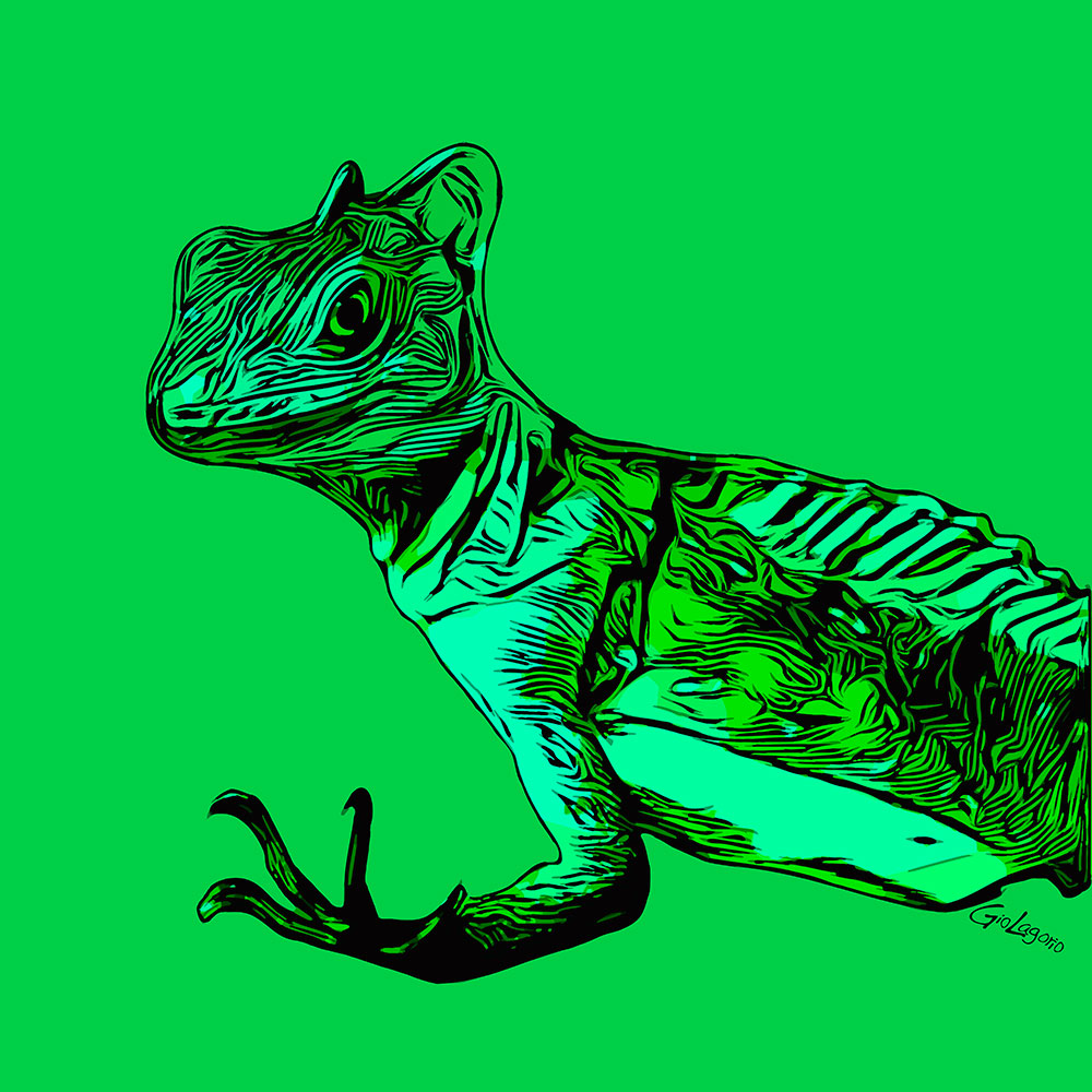 Basilisco (1) · cm 60X60