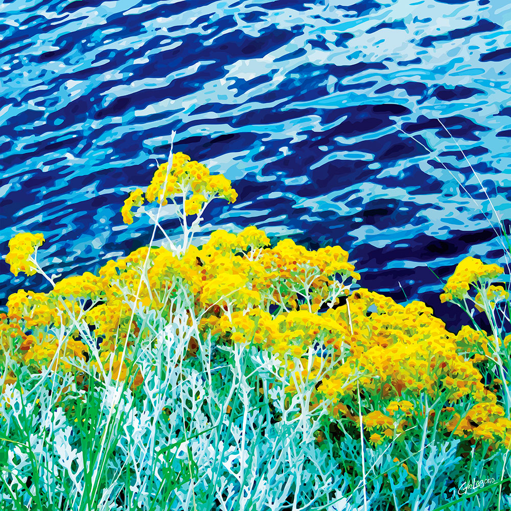 Fiori sul mare · cm 60X60