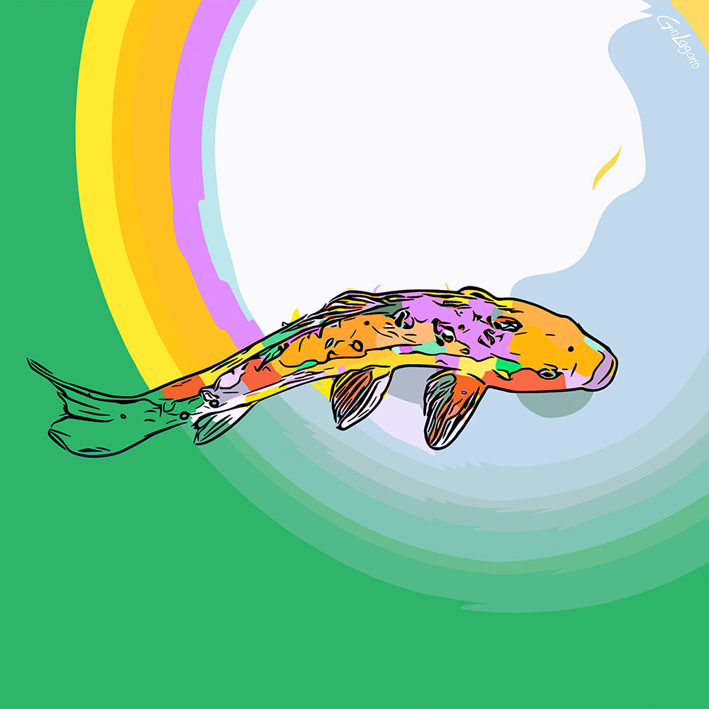 Koi (1) · cm 60X60