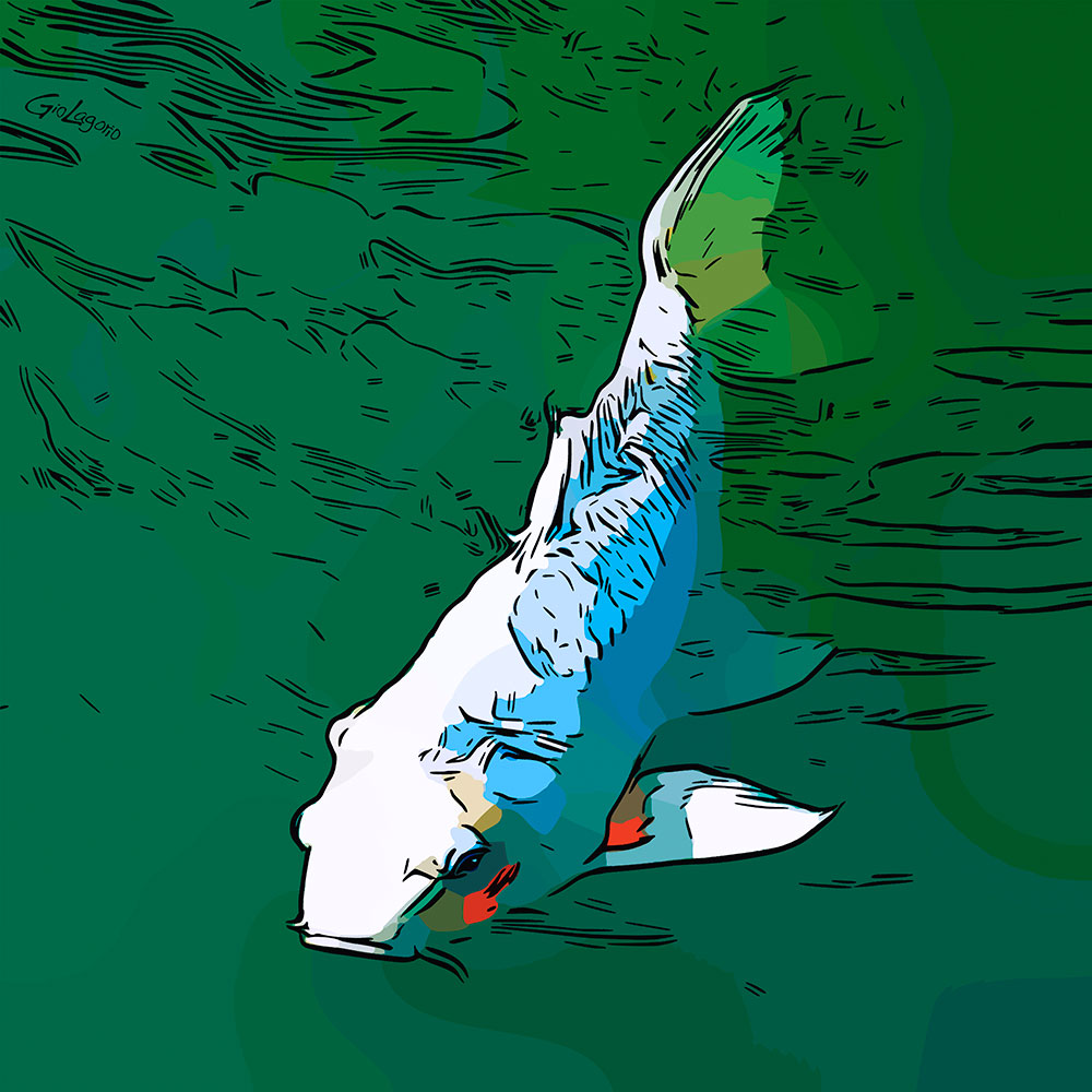 Koi (3) · cm 60X60