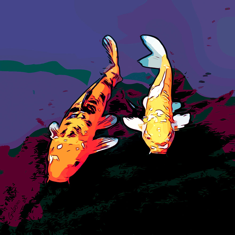 Koi (6) · cm 60X60