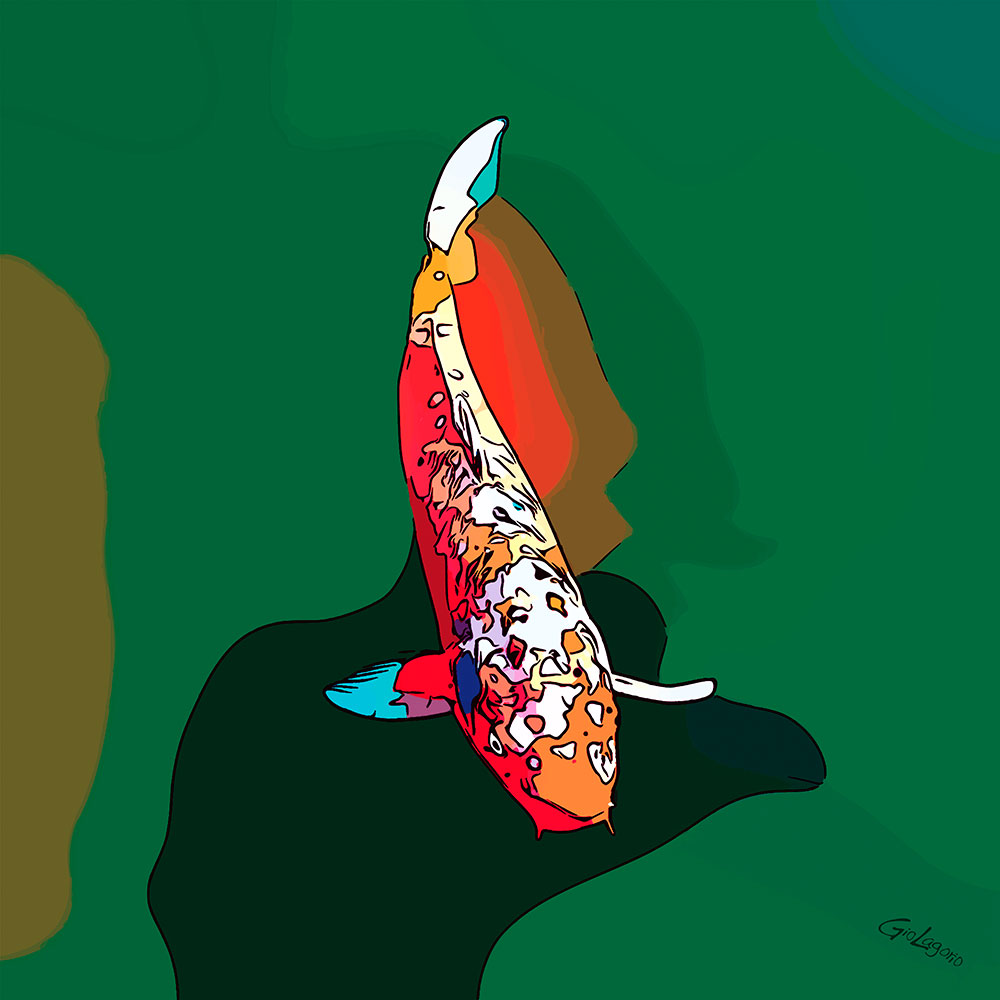 Koi (7) · cm 60X60