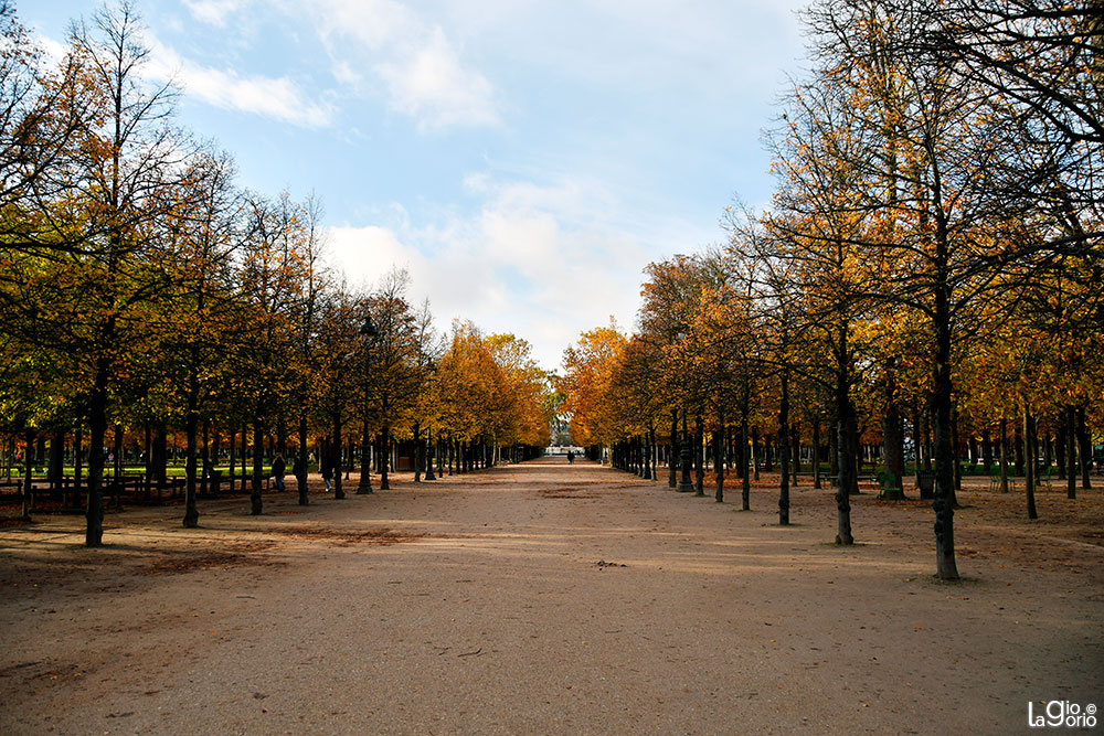 Jardin des Tuileries · Paris