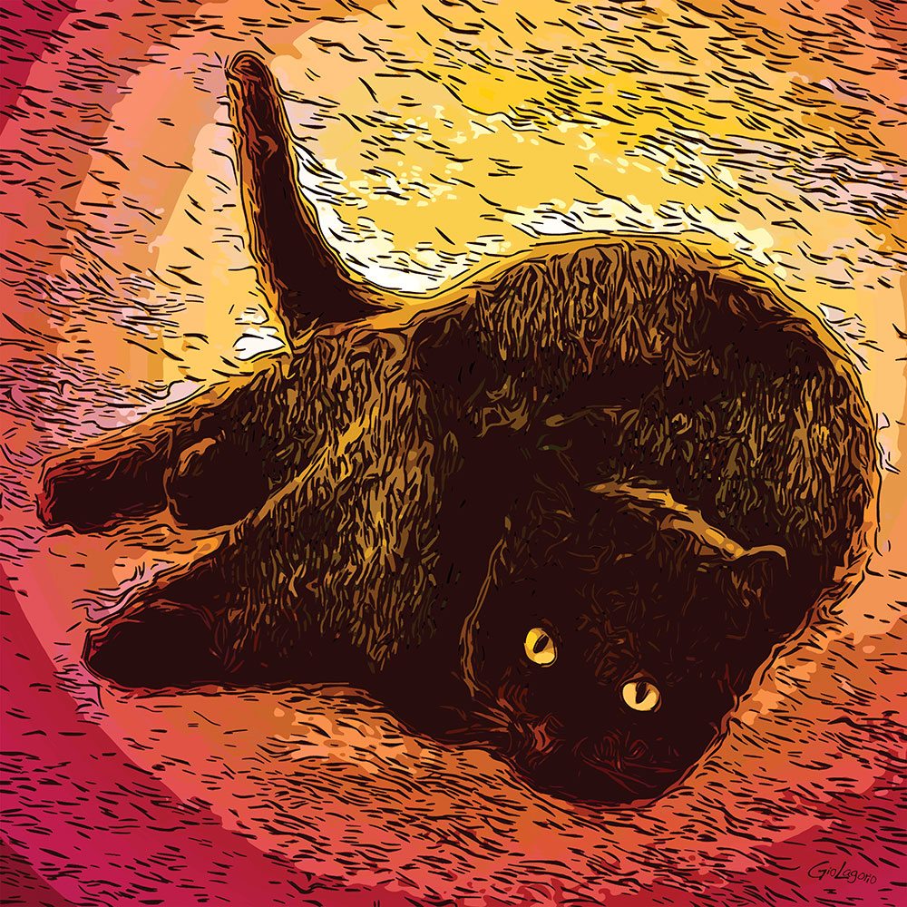 Gatto Nero · cm 60X60