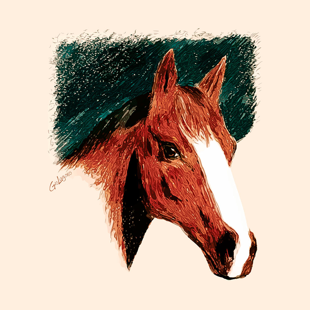 Libby · cm 60X60