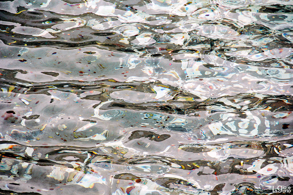 La Fortuna è tutta qui! · Fontana di Trevi · Roma