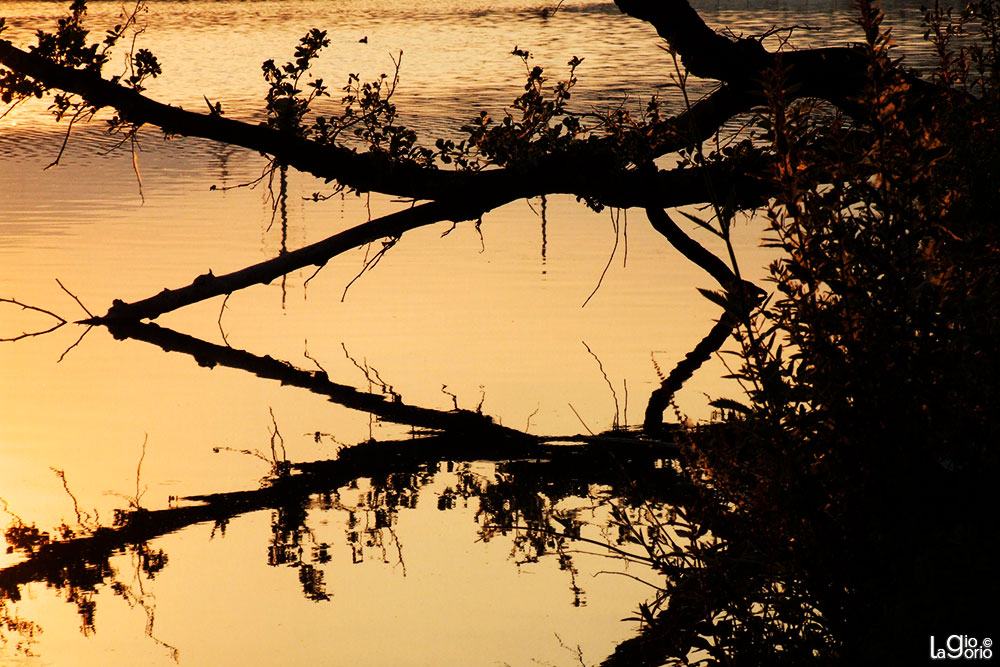 Ombre simmetriche · Fiume Centa · Albenga
