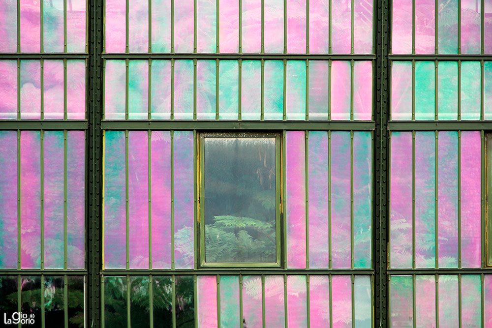 Vetrata della serra · Jardin des Plantes · Paris