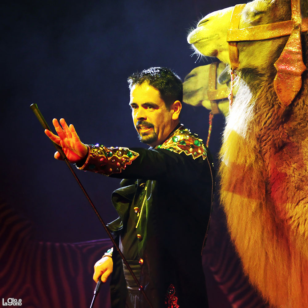 Alex Jostmann · Circo Moira Orfei