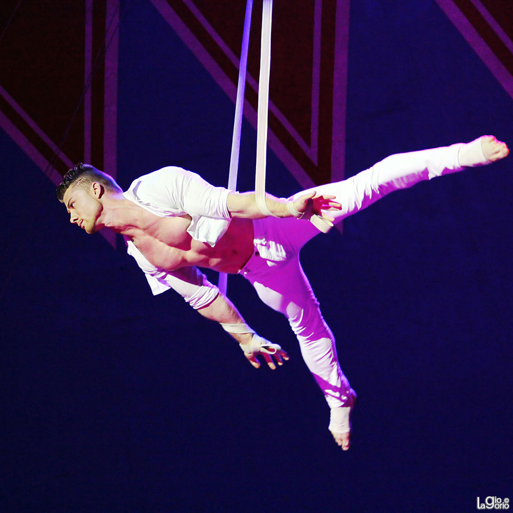 Alisher · Cirque Medrano Gibault