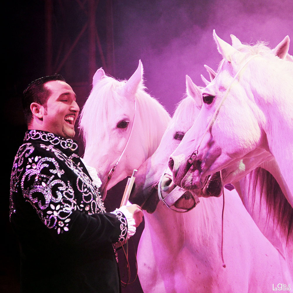 Brian Casartelli · Circo Medrano Casartelli