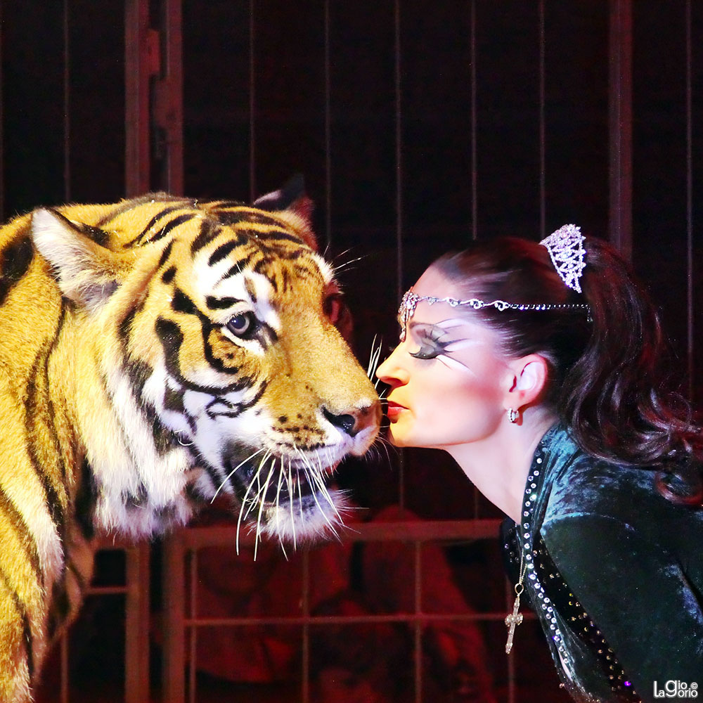Carmen Zander · Cirque d'Hiver Bouglione