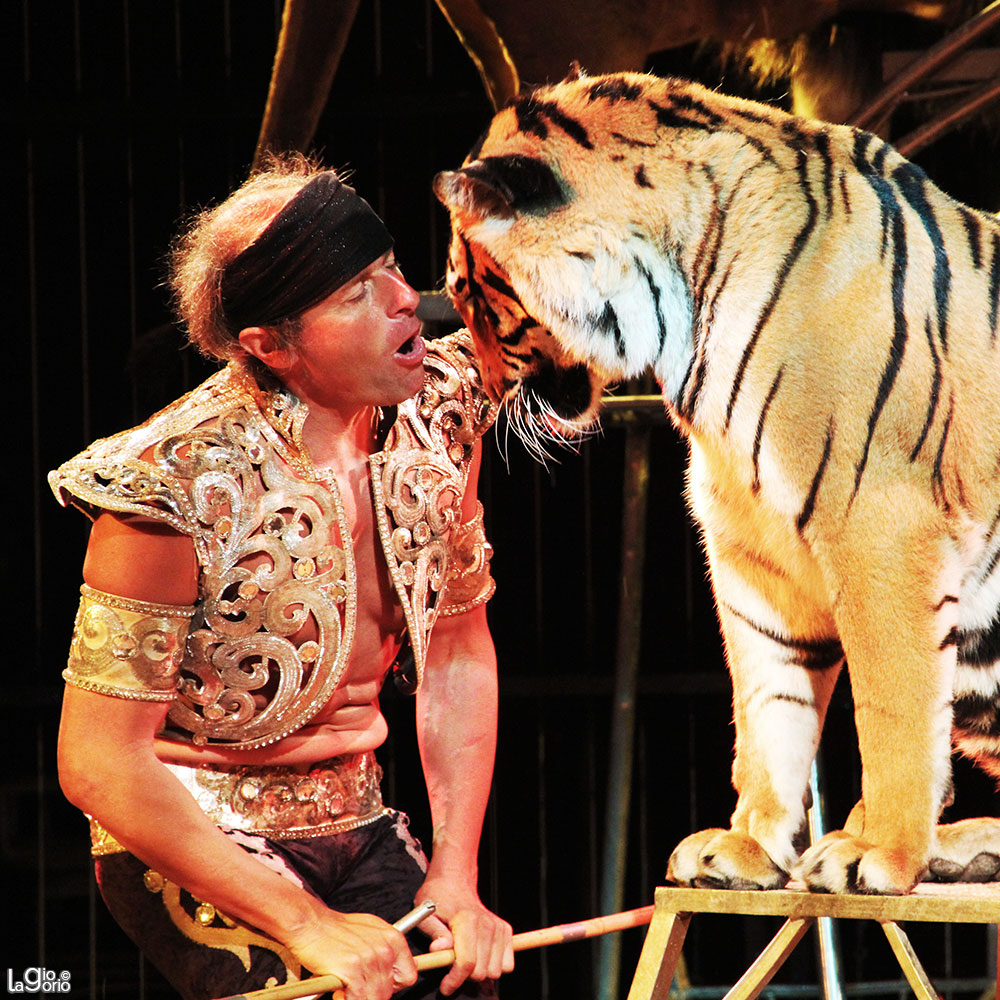 Gilbert Edelstein · Cirque Pinder Jean Richard