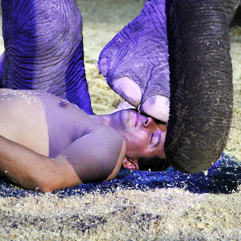 Joy Gartner · Cirque Medrano Gibault