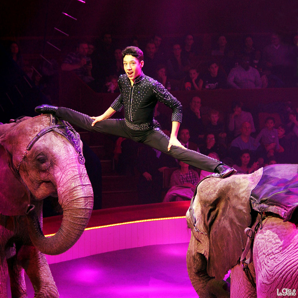 René Casselly Jr · Cirque d'Hiver Bouglione