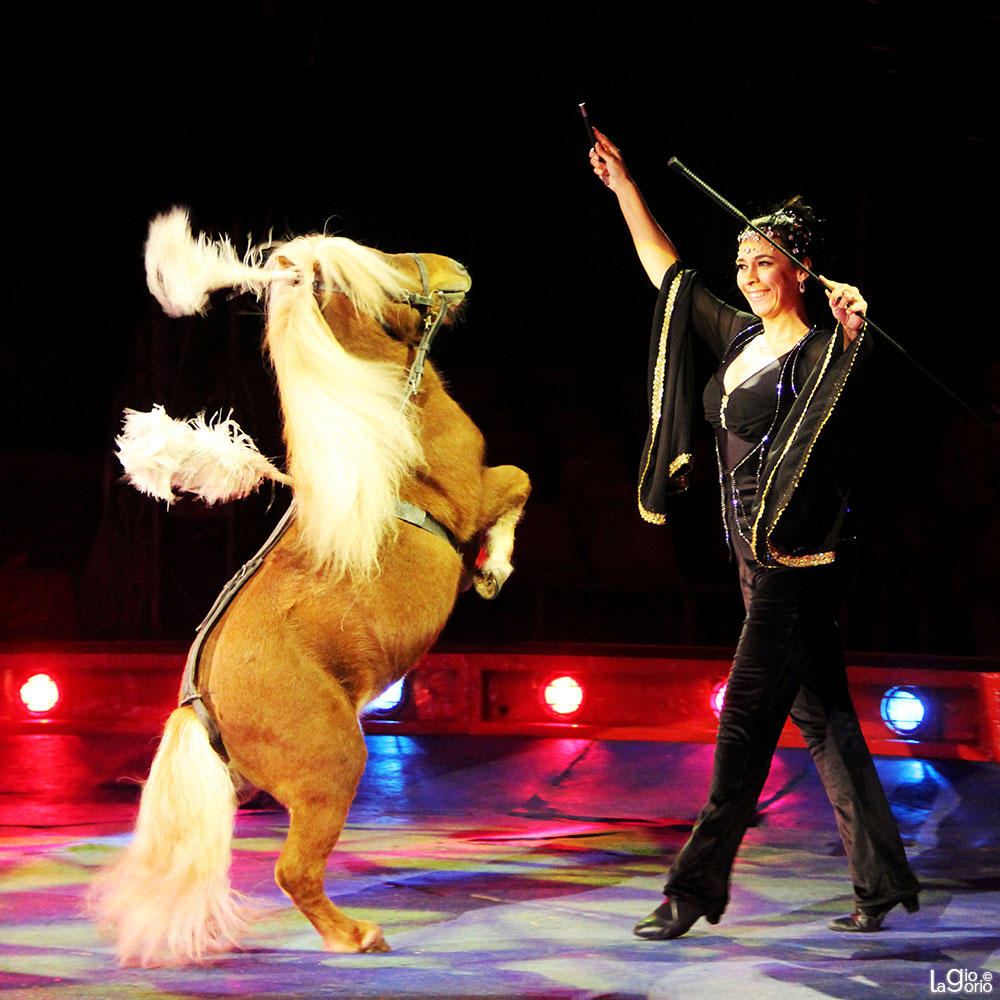 Romy Jostmann · Circo Moira Orfei