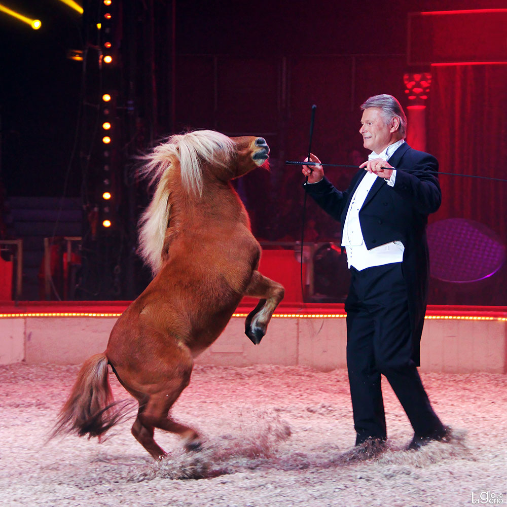 Sacha Houcke · Cirque d'Hiver Bouglione