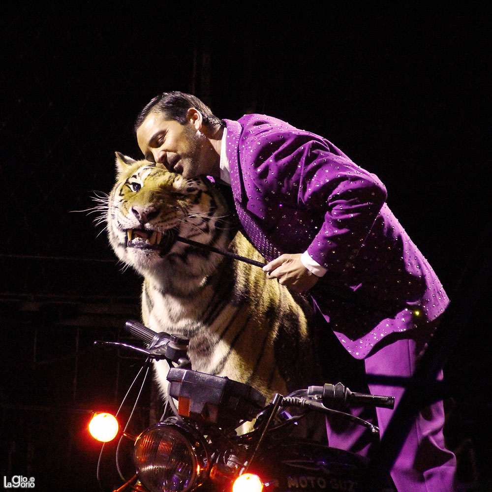 Stefano Orfei Nones · Circo Moira Orfei