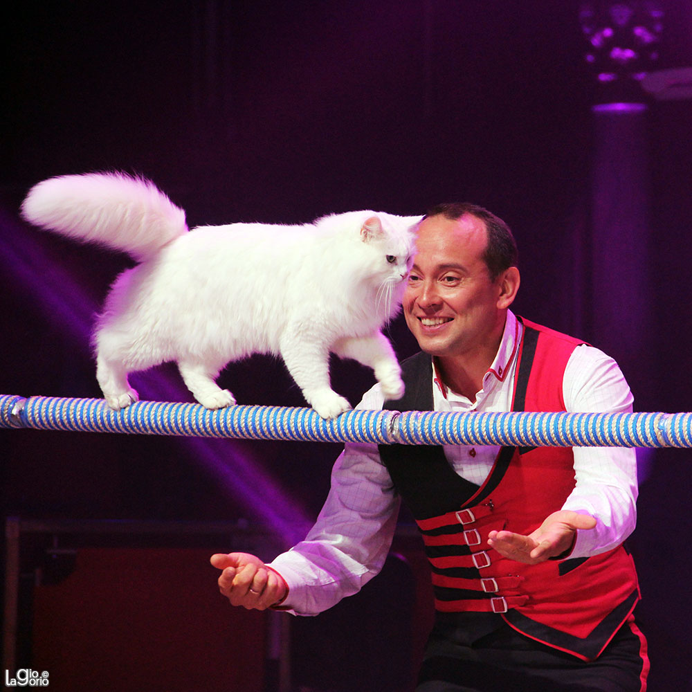 Vlad Olandar · Cirque d'Hiver Bouglione