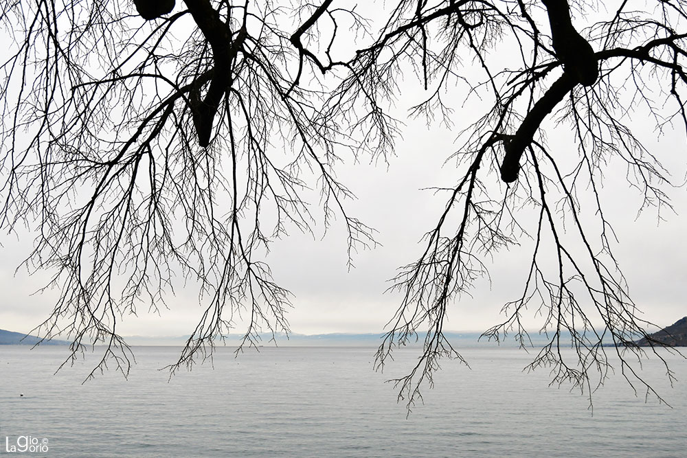 Sul Lago   02