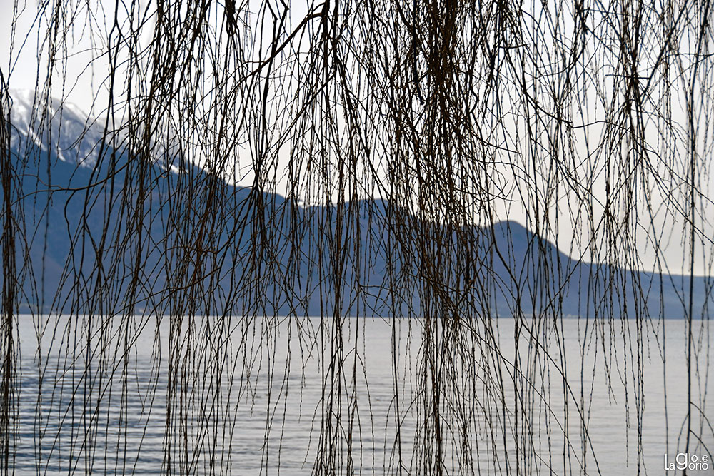 Sul Lago   09