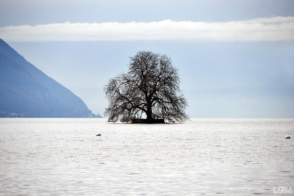 Sul Lago   14