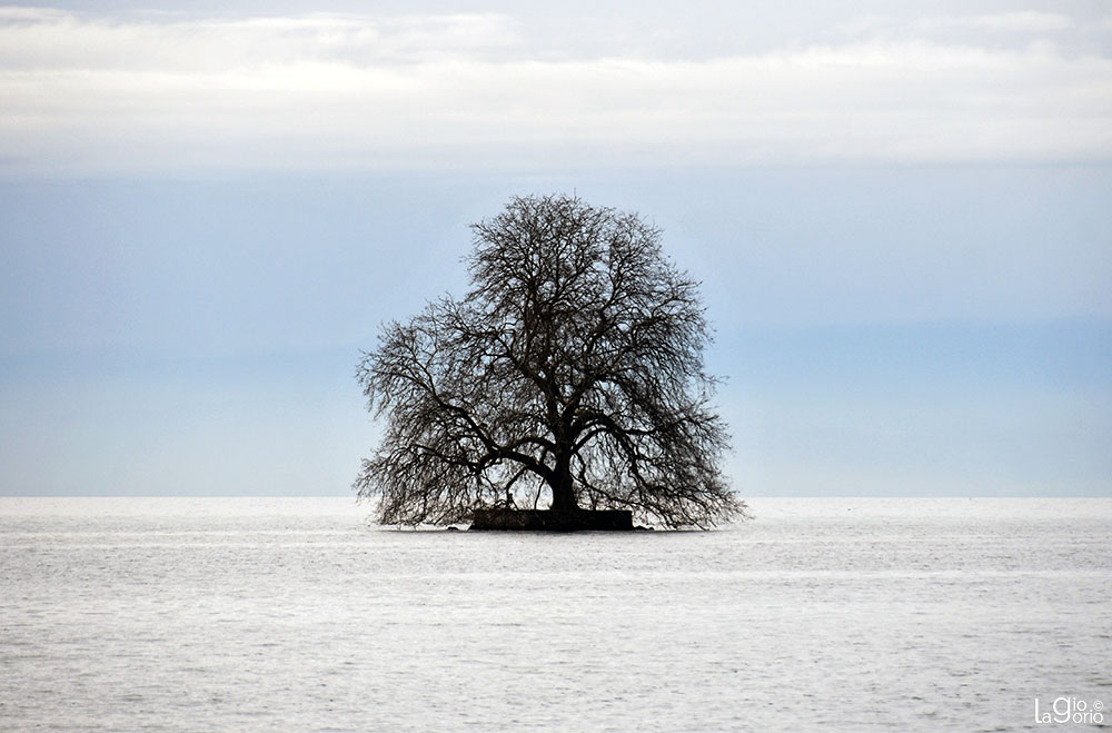 Sul Lago   15