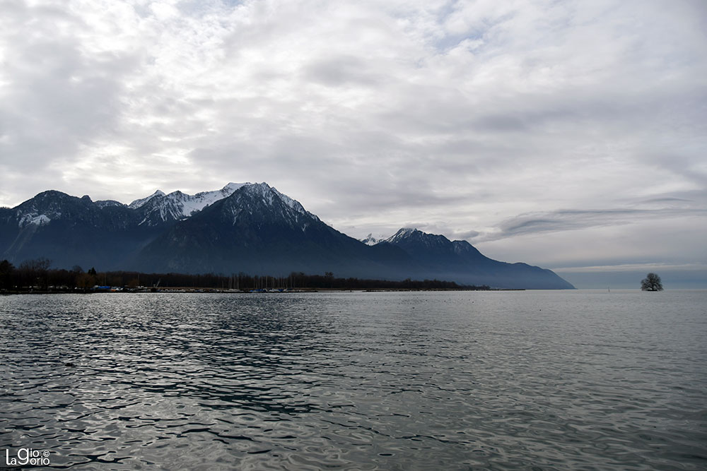 Sul Lago   16