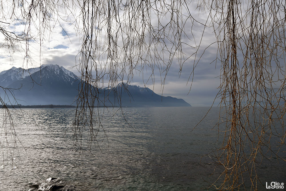 Sul Lago   36