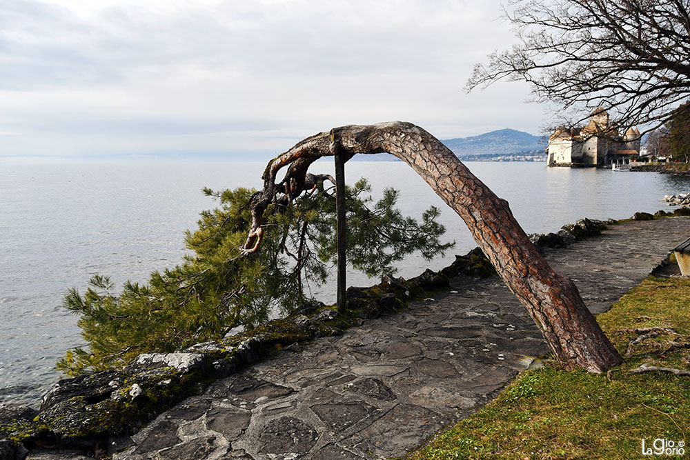 Sul Lago   41