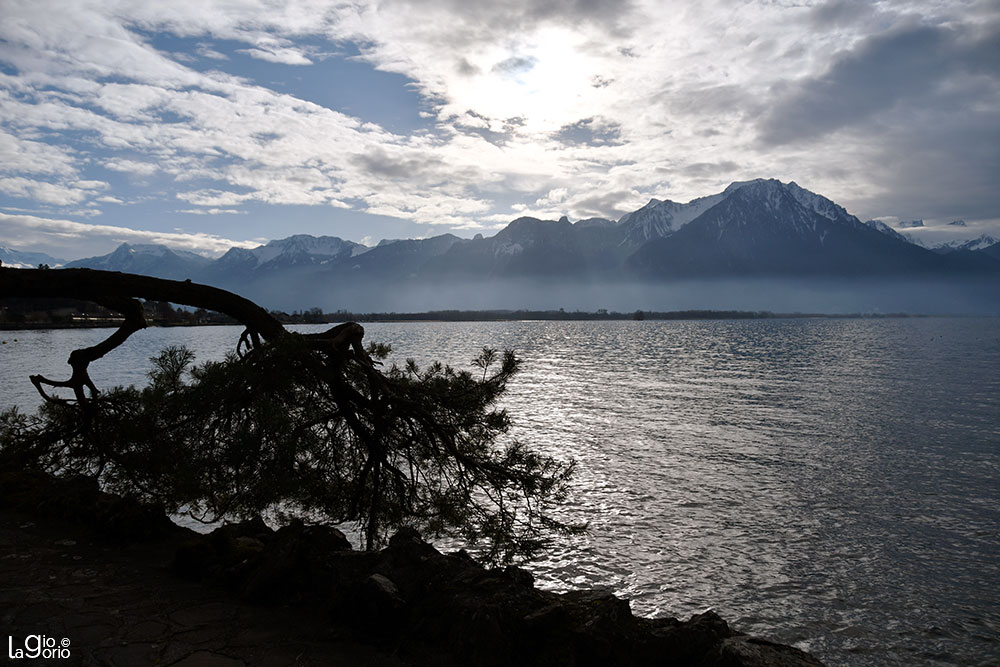 Sul Lago   42