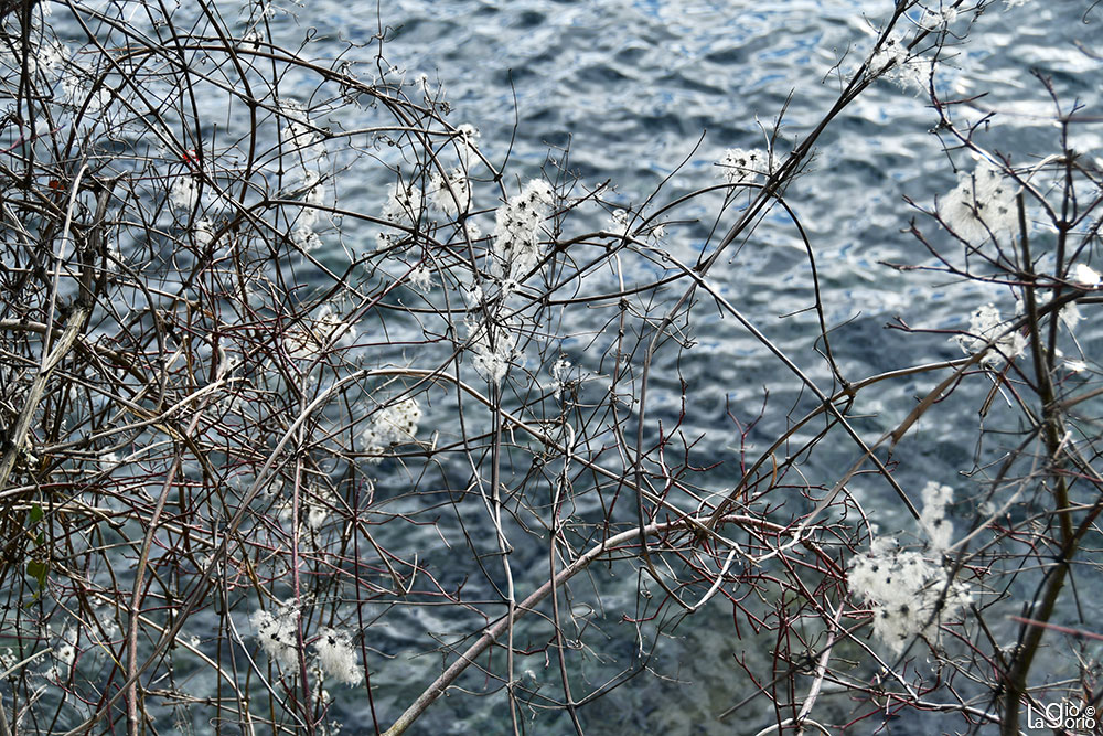 Sul Lago   43