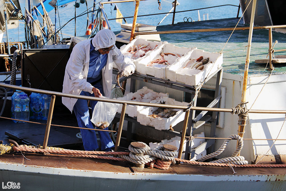 Sul Mare   14