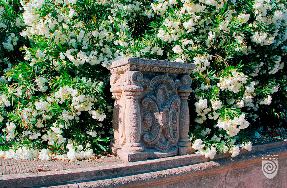 009 Villa Grock
